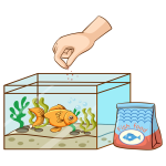 Прикормки. Насадки. Аттрактанты 