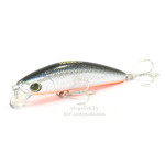 L-Minnow 66S (F200/F1168)