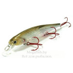 Slender Pointer 112MR