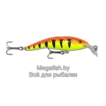 Shallow Tail Dancer
