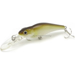 Spin-Move-Shad