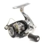 Rarenium CI4+