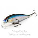  Pointer 100SR