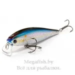  Pointer 100SR