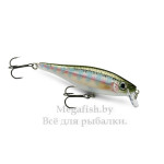 BX Minnow BXM10