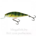 Воблер Salmo Executor SR09