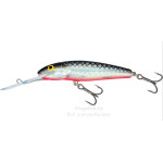Salmo Minnow SDR 07
