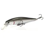 Pointer 100SP