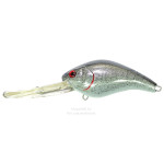 vobler-pontoon-21-panacea-fat-marauder-90f-dr