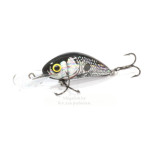 voblery-salmo-hornet-f-04