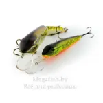 Pike