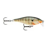Scatter Rap Shad