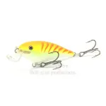 Shallow  Shad Rap (SSR)
