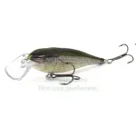 Super Shad Rap (SSR14)