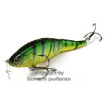 LL Pointer 145S