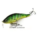 LL Pointer 145S