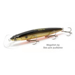 Shifter-Minnow