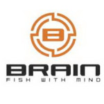 Brain