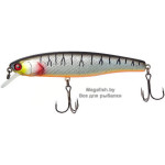 Smash-minnow-100SP