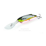 Salmo Freediver