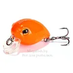 Beetle 28F