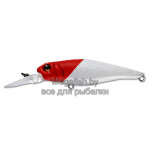 Tomcat 80 SP-DR