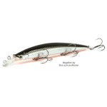 Top-Water-Minnow-130