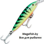 FMAG14