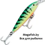 FMAG14