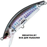 3D-Inshore-Minnow