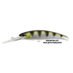 Realis-Fangbait-140DR