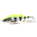 4D Perch Shad