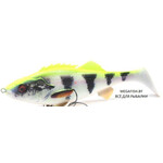 4D-Perch-Shad-175SS