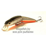 Minnow Jointed 