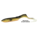 LB-Real-Eel