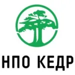 Кедр