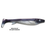 Fatnose-Shad