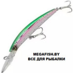 Crystal-Minnow-DD