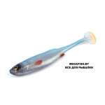 Craft-Shad