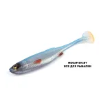 Craft Shad