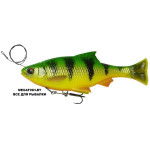 4D-Line-Thru-Pulse-Tail-Roach
