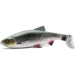 3D-River-Roach
