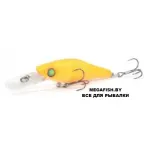 LIVE-X SMOLT