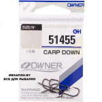 CARP-DOWN-51455