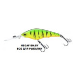 Hardcore Shad (R1367)