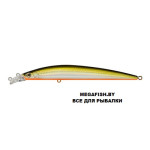 Top Water Minnow 110 (JL-166F)