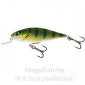 Воблер Salmo Executor SR09