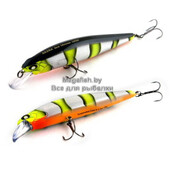 Best-Minnow-110SP