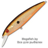 Bonum-105F