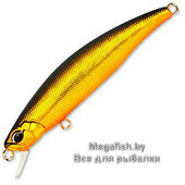 Tide-Minnow
